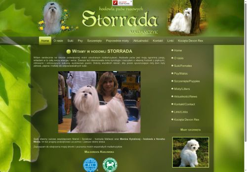 storrada.pl