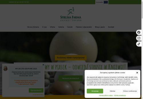 strusie-kniewo.com