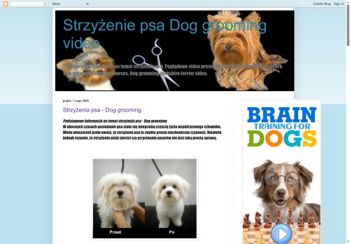 strzyzenie-psa.blogspot.com