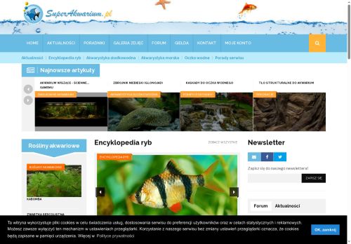 superakwarium.pl
