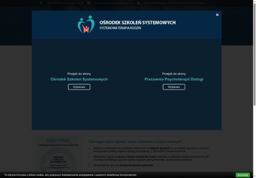 szkoleniasystemowe.pl