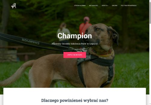 szkoleniepsowlegnica.pl