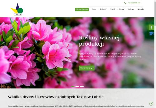 szkolka-taxus.pl