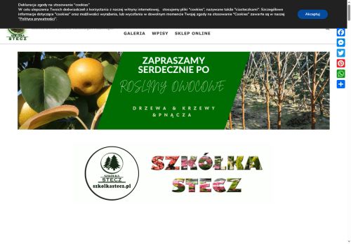 szkolkastecz.pl