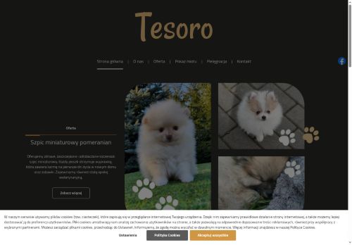 szpicaminiaturowa.com.pl