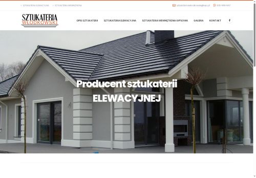 sztukateriawlodkowski.pl