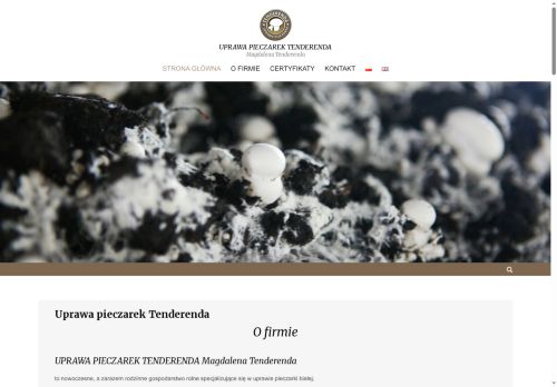 tenderenda.com.pl