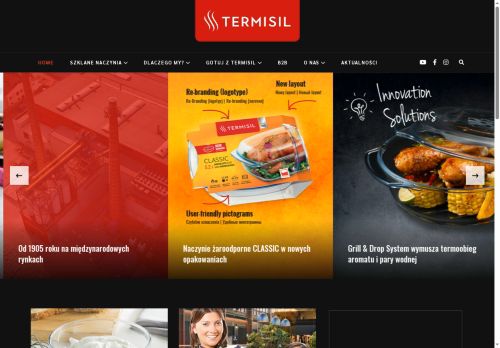 termisil.com