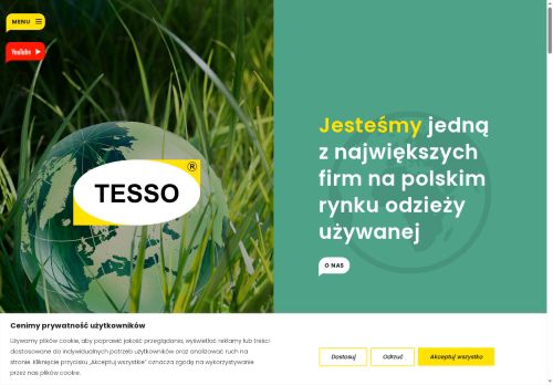 tesso.pl