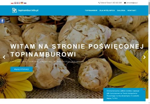 topinambur.info.pl