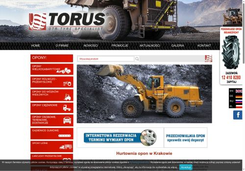 torus.com.pl