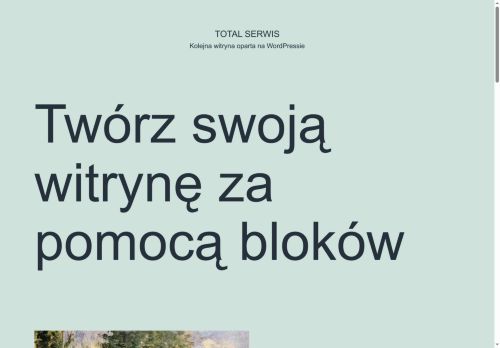 totalserwis.eu