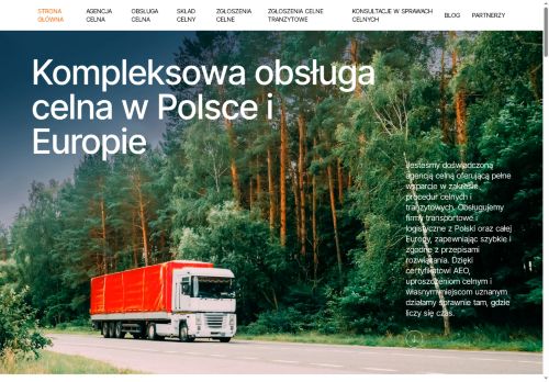 transconsult-poland.pl