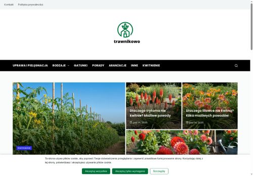 trawnikowo.pl