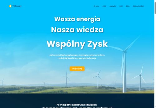trienergy.com.pl
