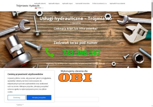 trojmiastohydraulik.pl