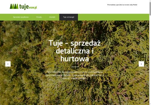 tuje.waw.pl