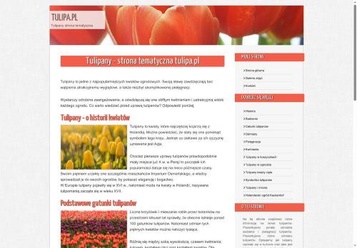tulipa.pl