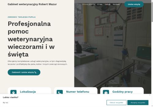 vet-mazur.szczecin.pl