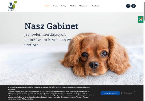 vet4u.pl