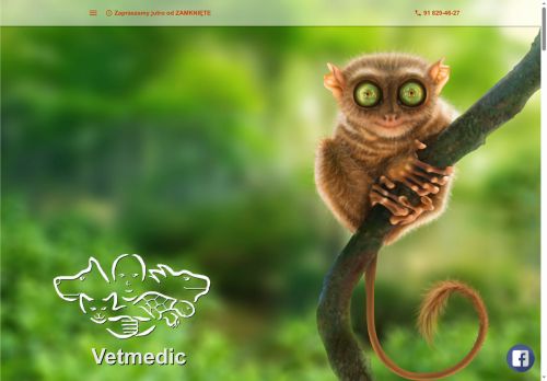 vetmedic.szczecin.pl