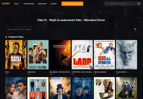 vider-pl.net.pl