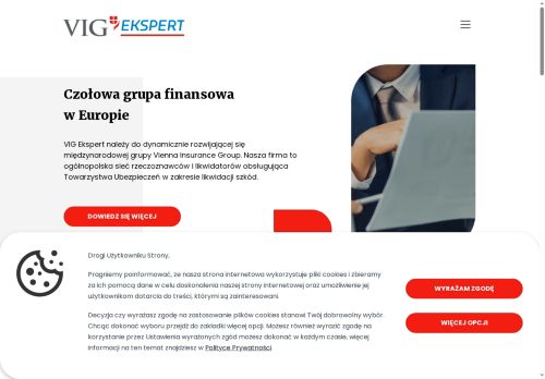 vigekspert.pl