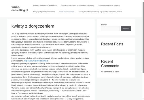 vision-consulting.pl