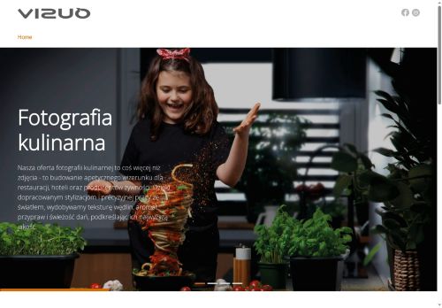 vizuo.pl