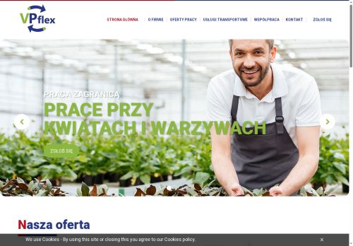vpflex.eu