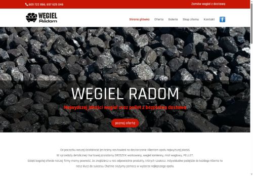 wegiel.radom.pl