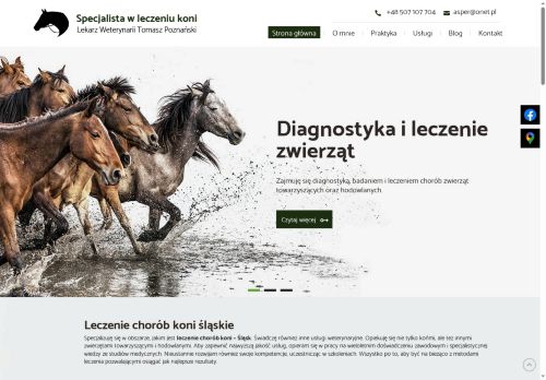 wet-tomaszpoznanski.pl