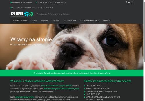 weterynarzkielcepupil.pl