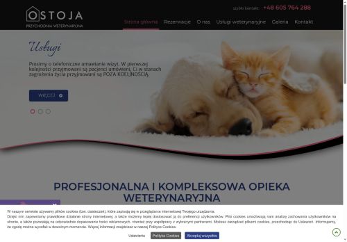 weterynarzpawlowice.pl