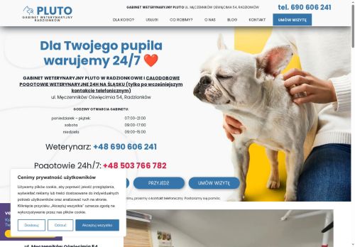 weterynarzpluto.pl