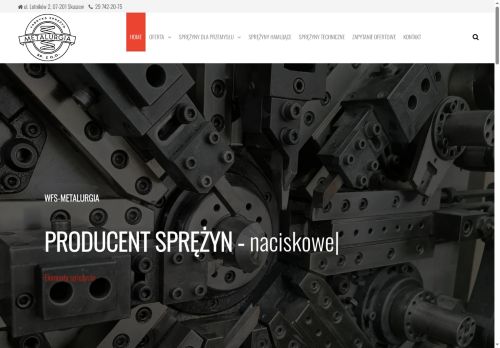 wfs-metalurgia.com.pl