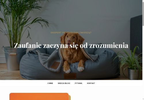 wibrysy.pl
