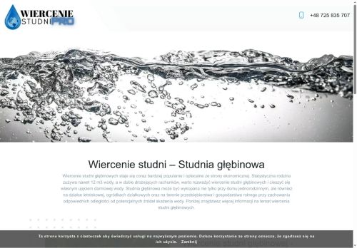 wierceniestudni.pro