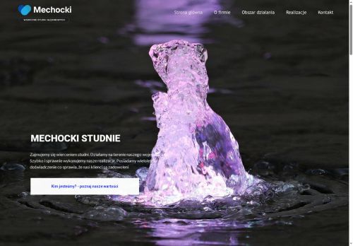 wierceniestudni365.pl