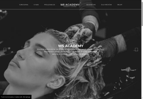 wierzbicki-schmidt.pl