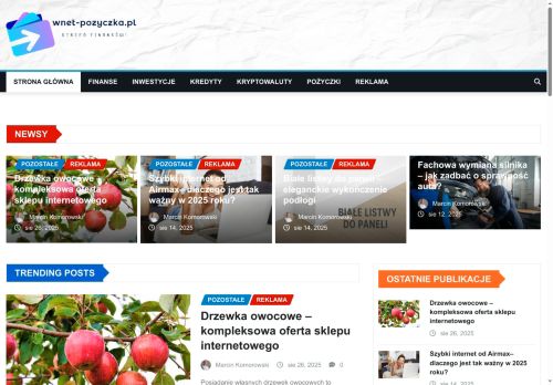 wnet-pozyczka.pl