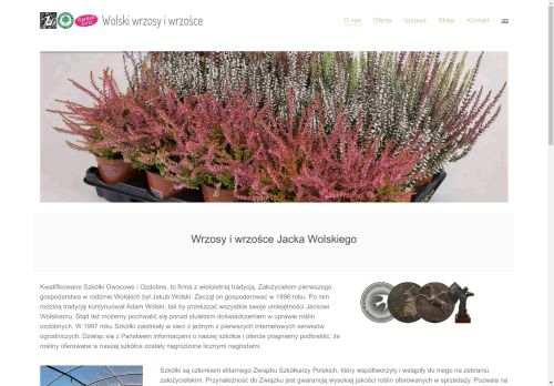 wolski.com.pl