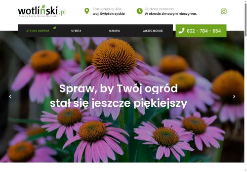 wotlinski.pl