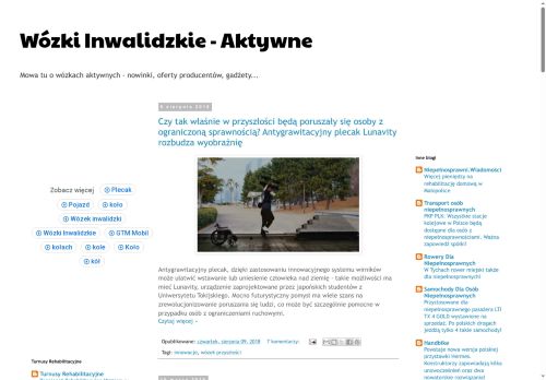 wozki-inwalidzkie-aktywne.blogspot.com