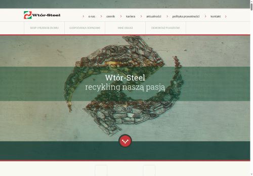 wtorsteel.pl