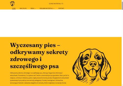 wyczesanypies.pl