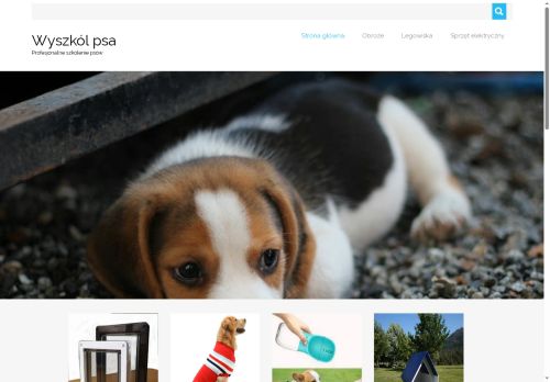 wyszkolpsa.pl