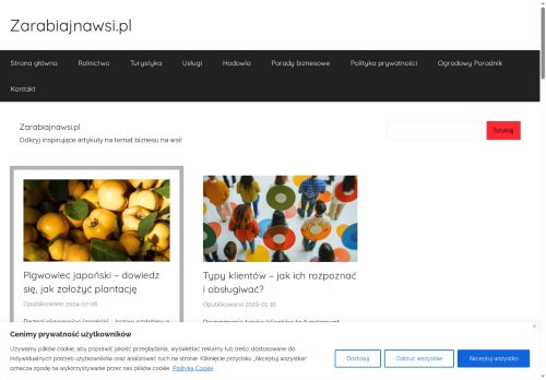 zarabiajnawsi.pl