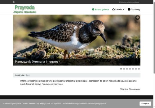 zbigniewostaniewicz.pl