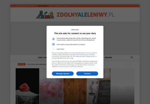 zdolnyaleleniwy.pl